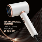 Secador de Pelo Profesional F37 de 2000w