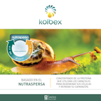 Kolbex Proteína de Caracol + Vitaminas 30 Caps