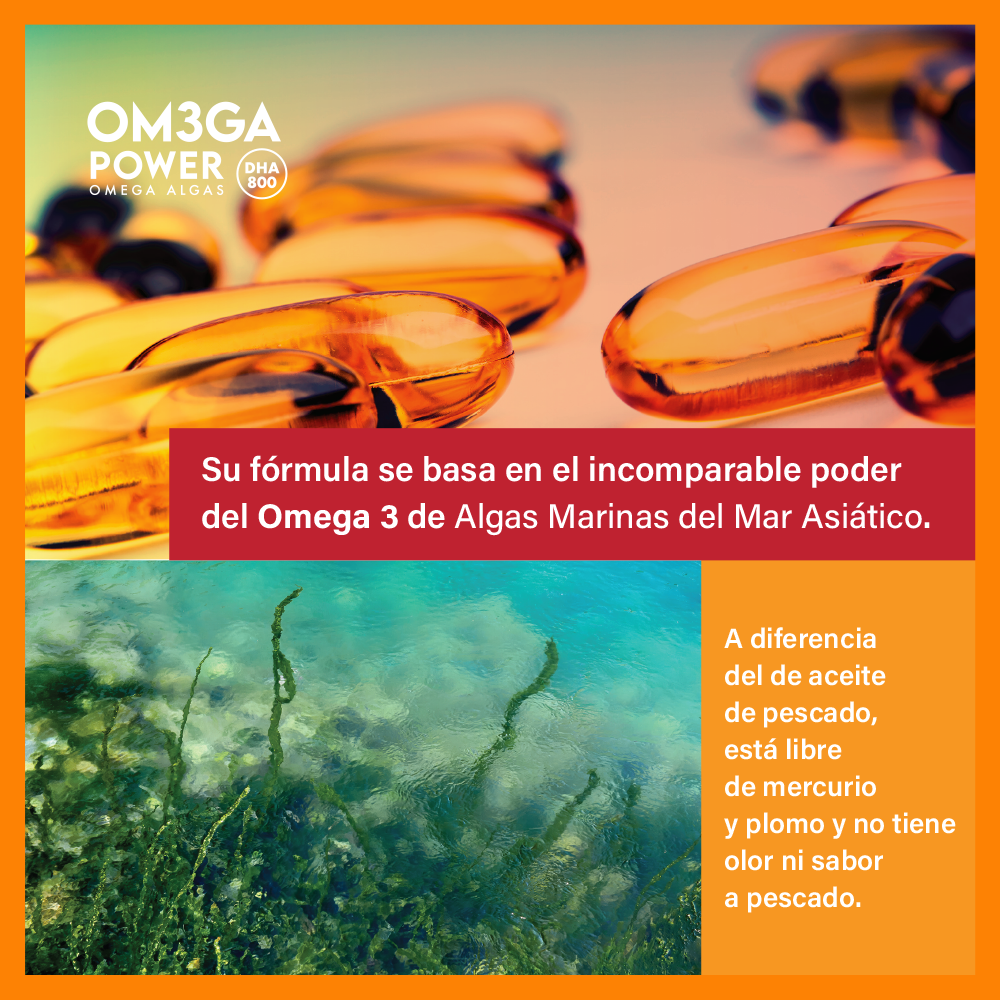 Omega Power 3 Con Máxima Concentración de DHA 1 Mes