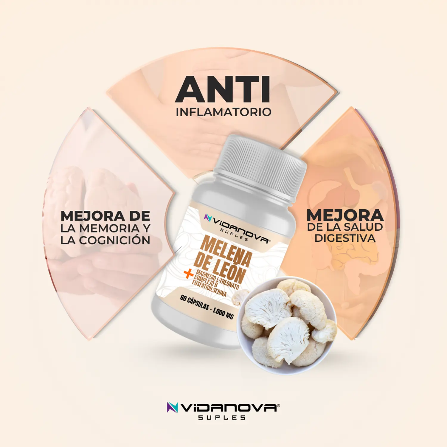 Melena de León 1000mg 60 Caps
