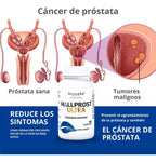 Hallprost Ultra Salud de la Próstata 60 Caps